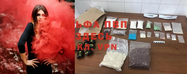 сатива Аша