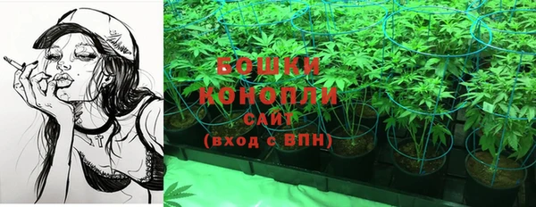 крисы Магас