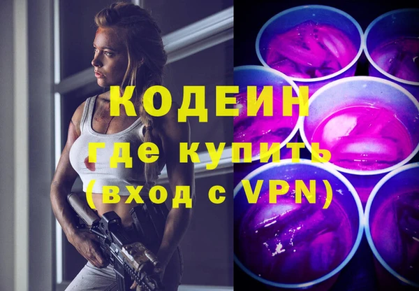 сатива Аша