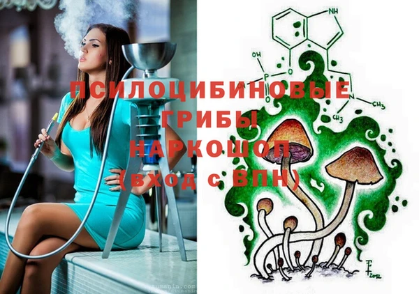 PSILOCYBIN Бежецк