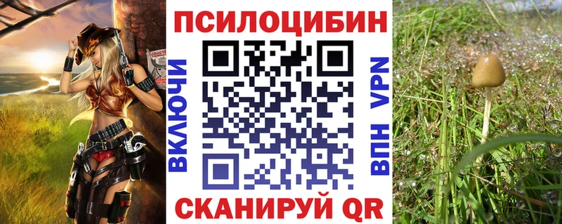 Галлюциногенные грибы MAGIC MUSHROOMS  Новоузенск 