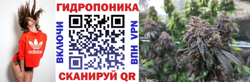наркотики  Новоузенск  Каннабис SATIVA & INDICA 